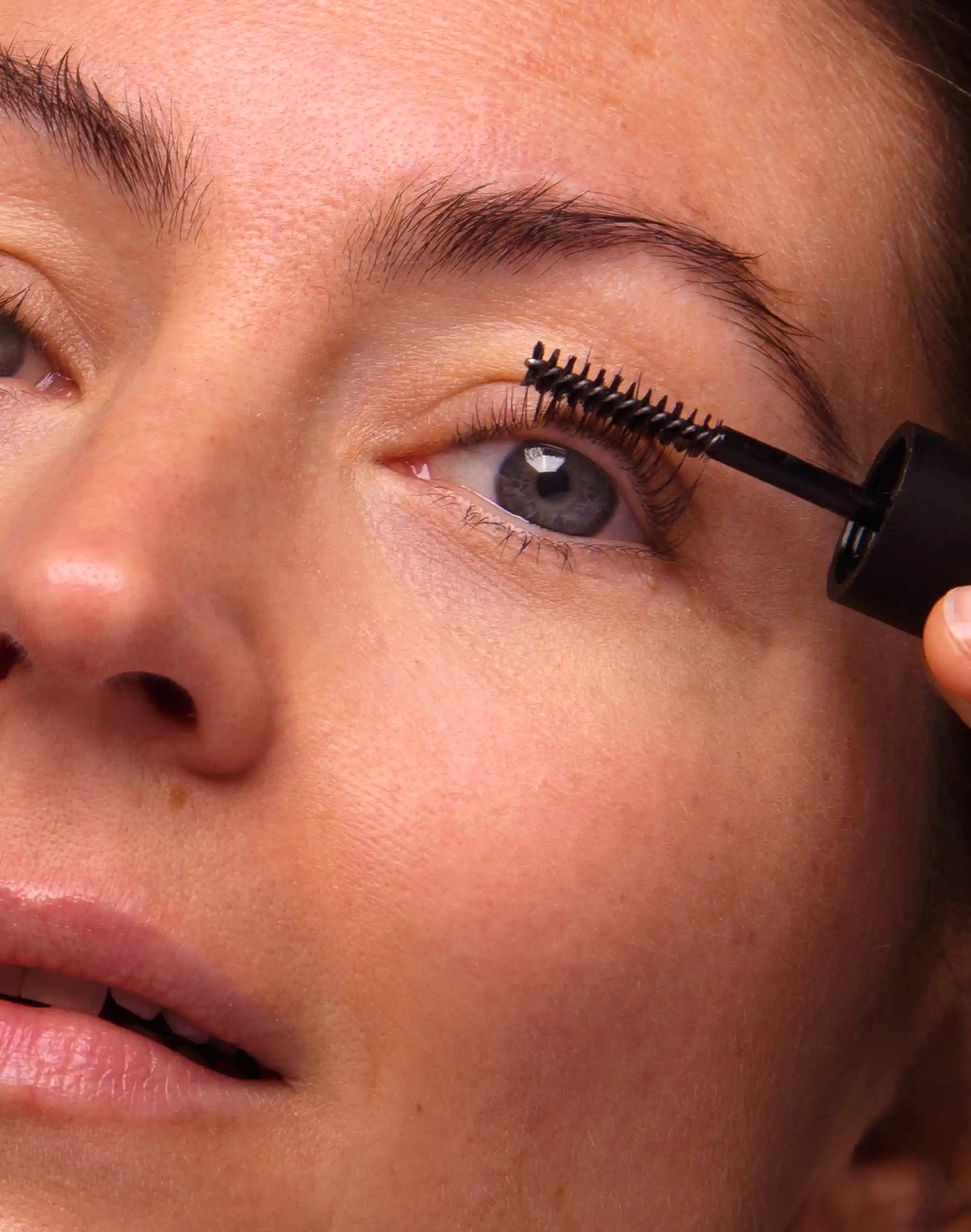 lash & brow treatment