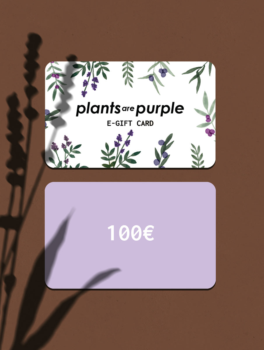 Gift Card 100