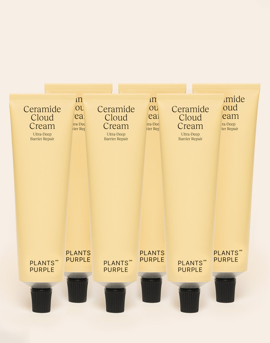 Ceramide Cloud Cream 6x Bundle